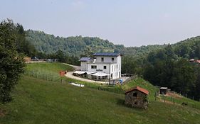 Casa Colet